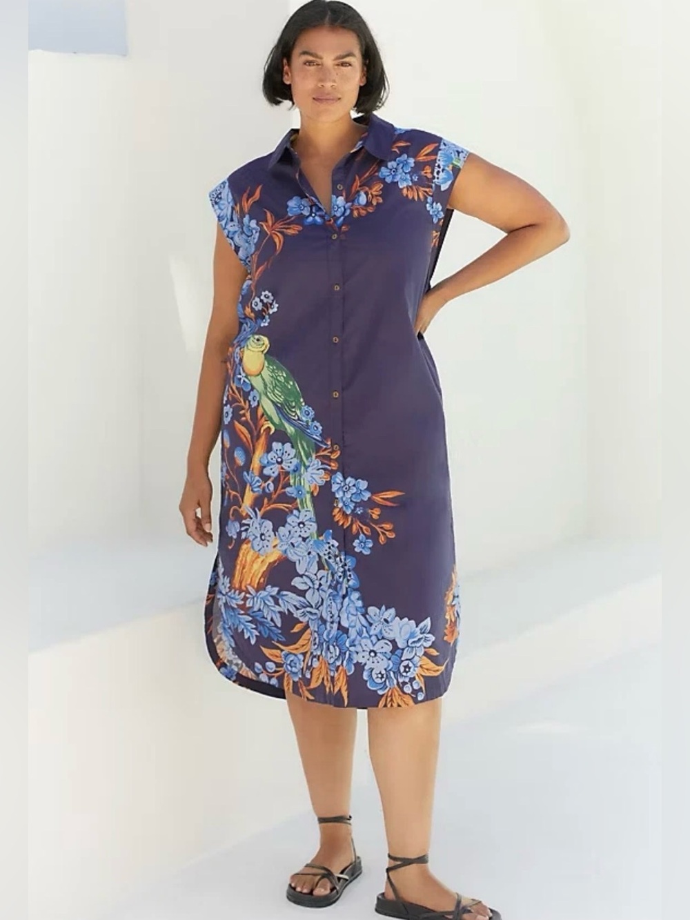 Anthropologie Maeve The Lillian Button Up Midi Dress 1X Blue Bird Parrot Print - Picture 5 of 17